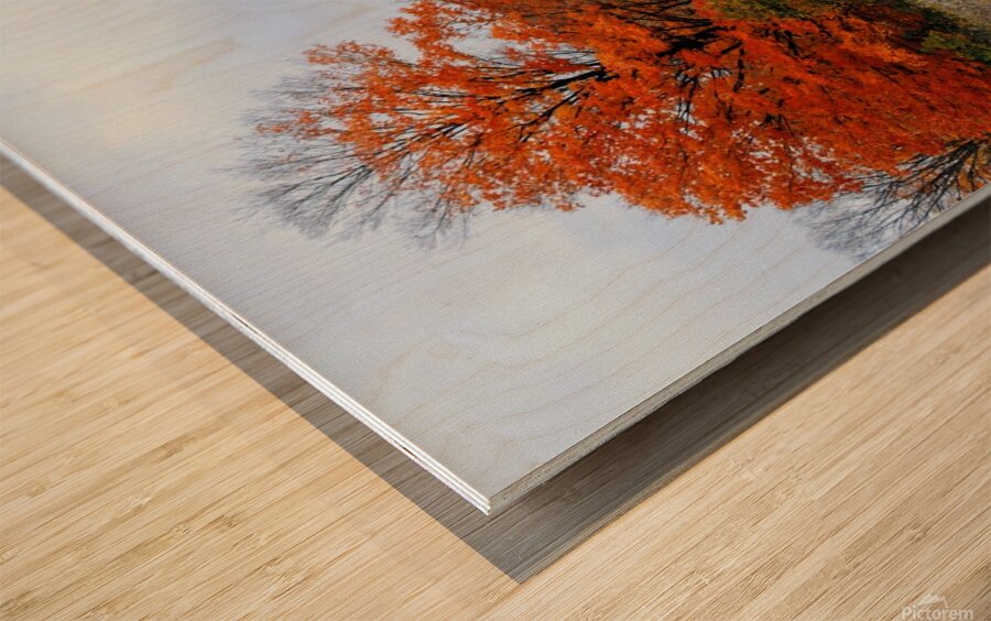 Autumn Road Wood print