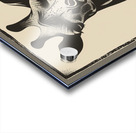 Giraffe 1 Acrylic print