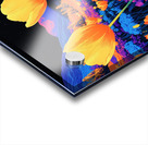 Festival of Tulips II 1 Acrylic print