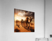 The great race Acrylic Print