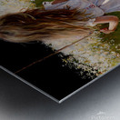 Carrie II Metal print