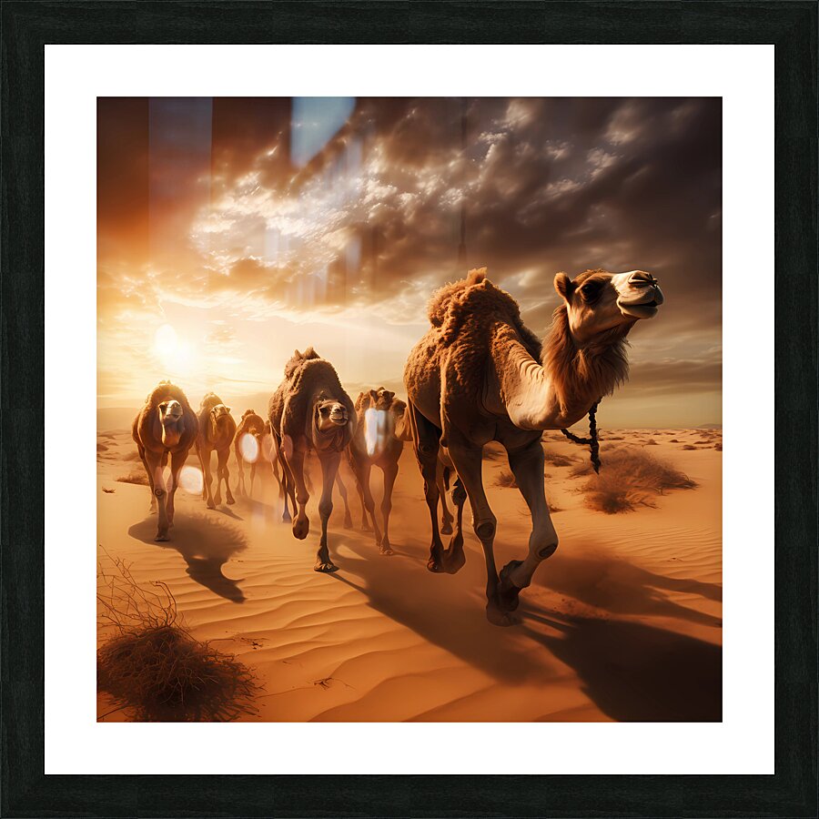 The great race Picture Frame print