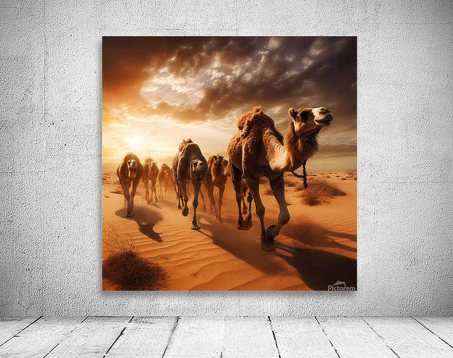 The great race Wall Preview