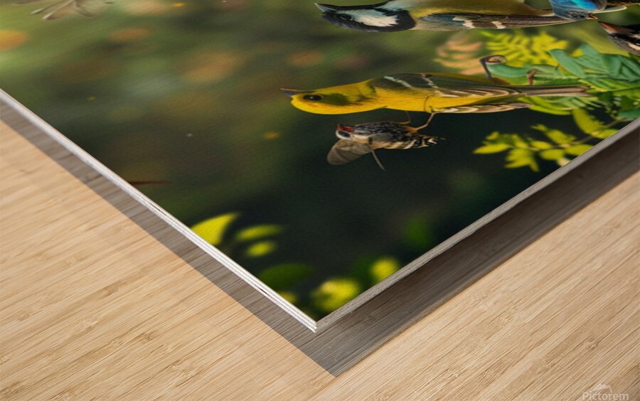 Birds Chatting 1 Wood print