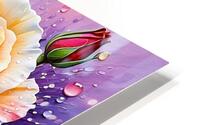 Rosette Splendor HD Metal print