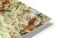 Springtime Bloom in Autumn HD Metal print