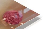 Roses HD Metal print