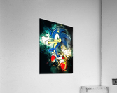 Sonic the Hedgehog Acrylic Print