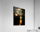Rock Lee Acrylic Print