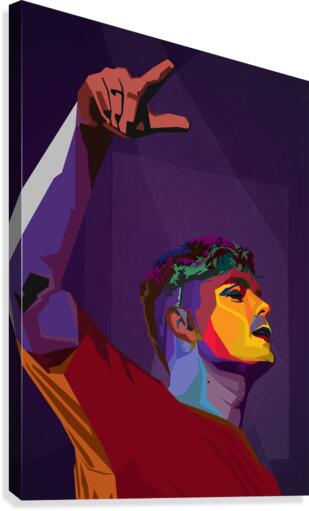 Martin Garrix Color Canvas Print