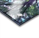 Tree Acrylic print