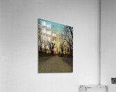 Sunset in a wooded area Acrylic Print