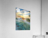 Grasses at dusk Acrylic Print
