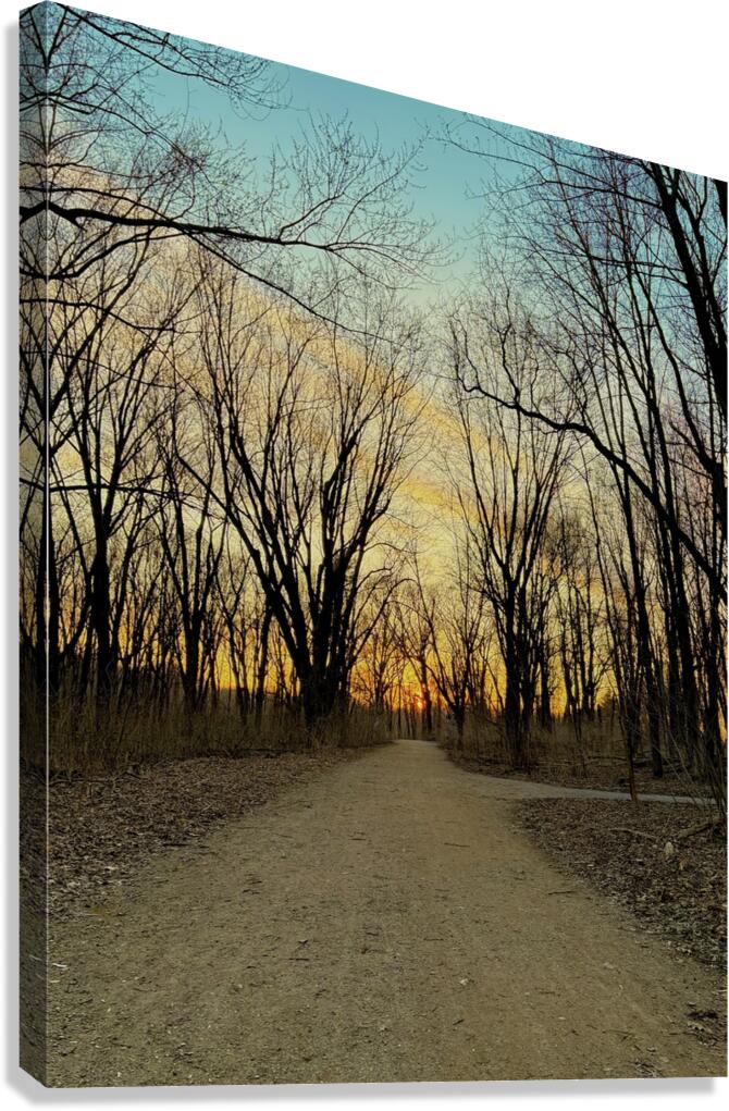 Sunset in a wooded area Canvas Print