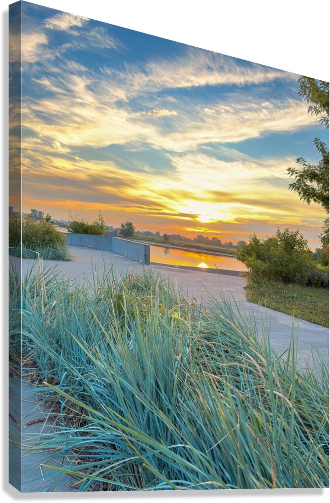 Grasses at dusk Canvas Print