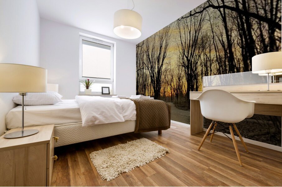 Sunset in a wooded area Mural print