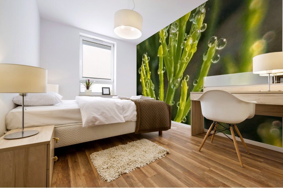 Morning dew Mural print