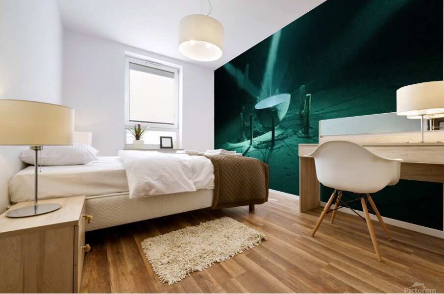 Light shows Mural print