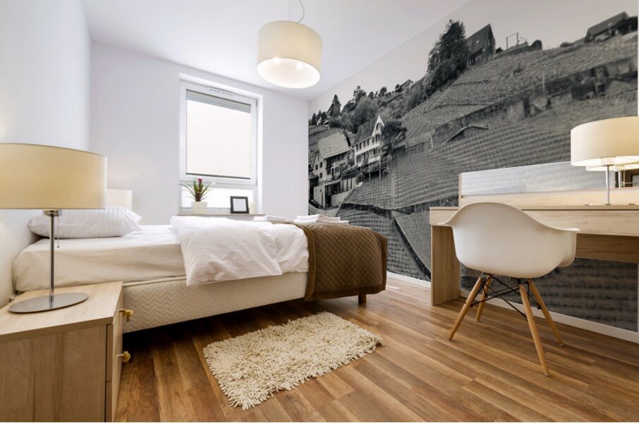 Terraced vineyard Mural print