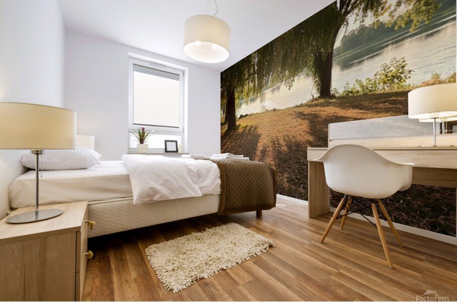 Tree shadows Mural print