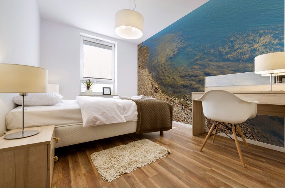 Imaginary reef Mural print