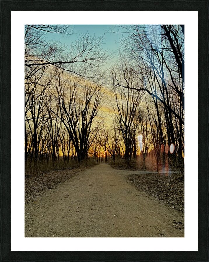 Sunset in a wooded area Picture Frame print