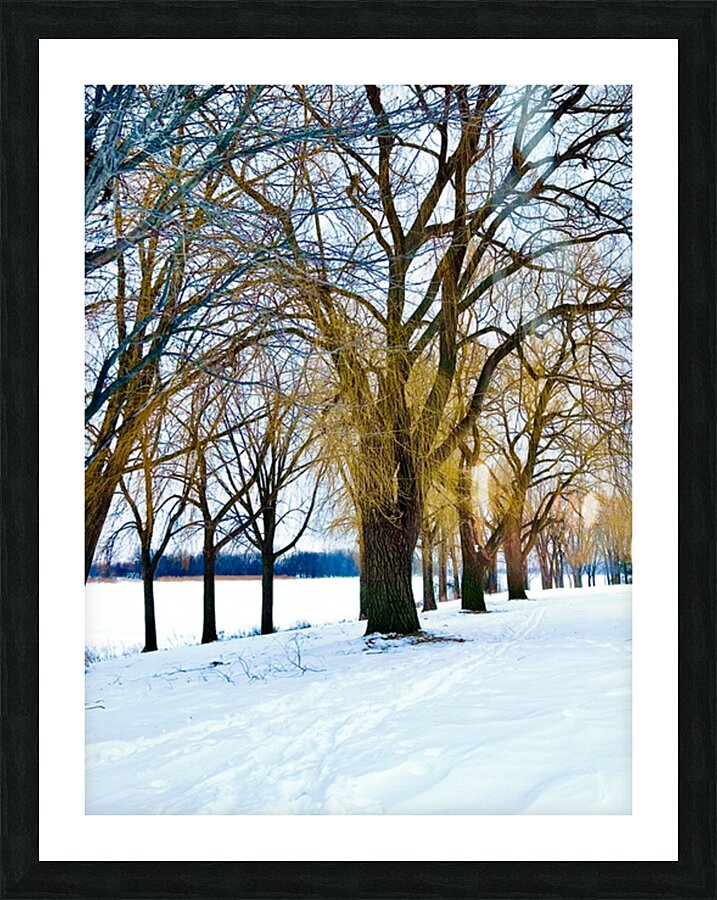 Color in winter Picture Frame print