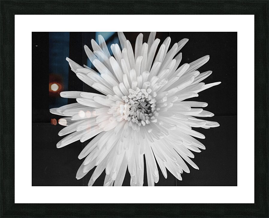 Flower Picture Frame print