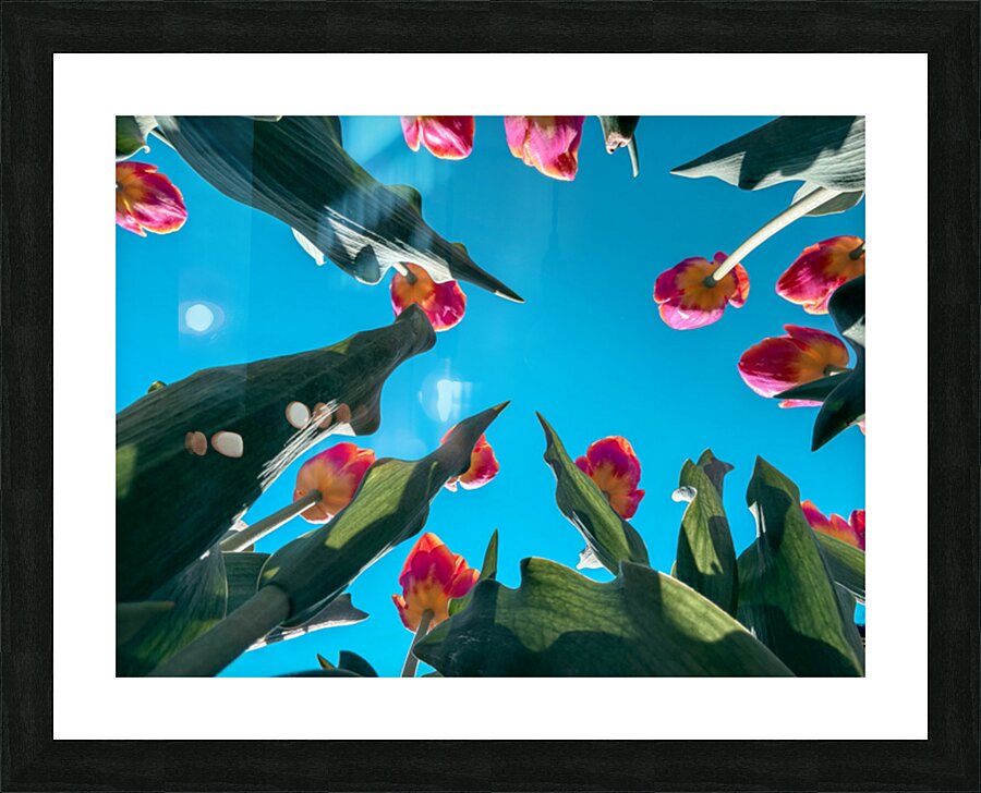 Flower time  Picture Frame print