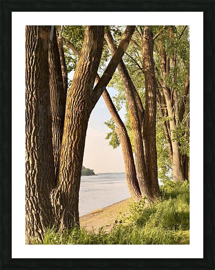 Opening on the River Picture Frame print