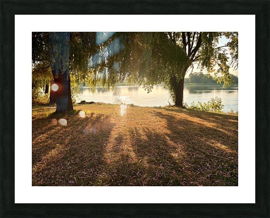 Tree shadows Picture Frame print