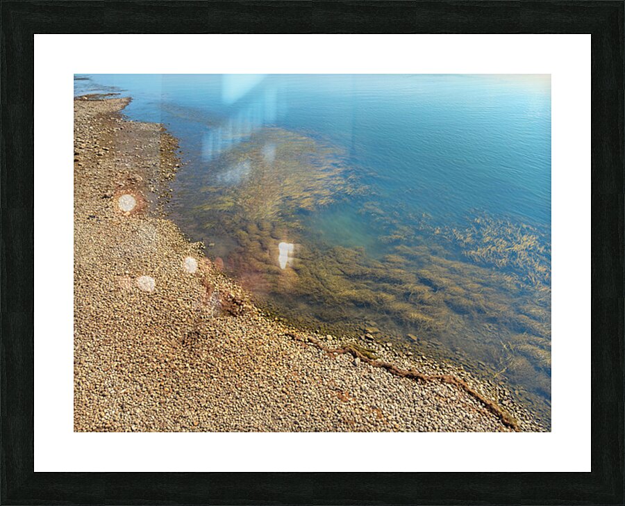 Imaginary reef Picture Frame print