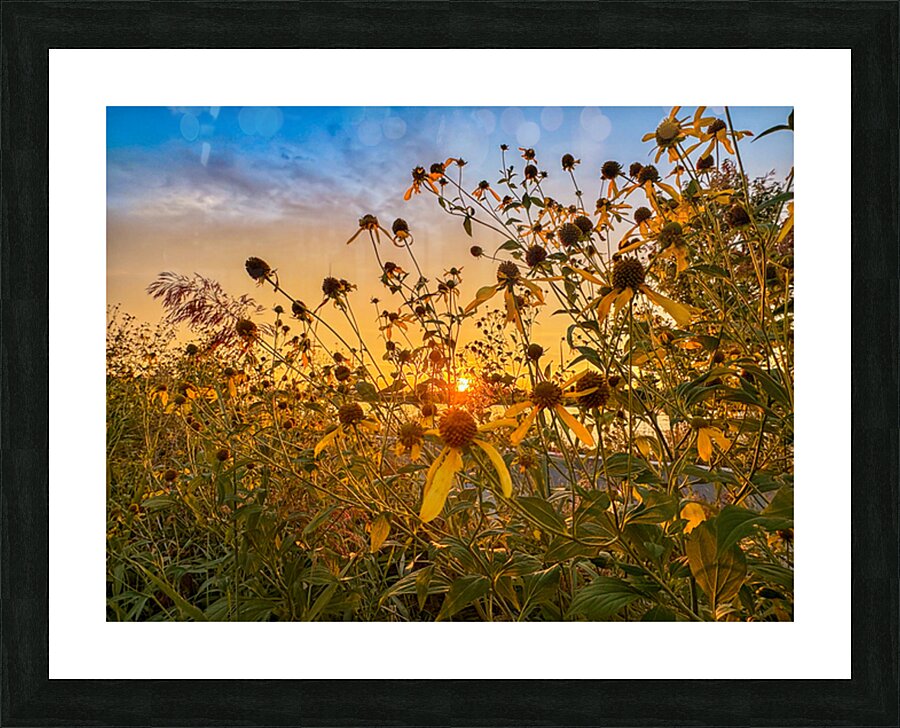Autumn Shards Picture Frame print