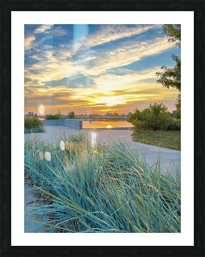 Grasses at dusk Picture Frame print