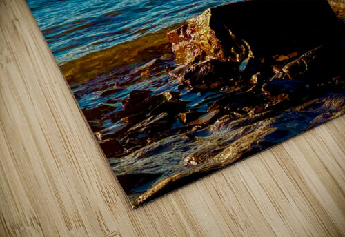 Splashes Genevieve Gagnon puzzle