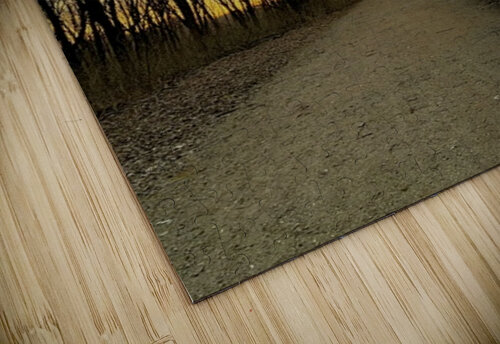 Sunset in a wooded area Genevieve Gagnon puzzle