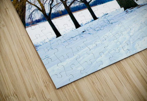 Color in winter Genevieve Gagnon puzzle