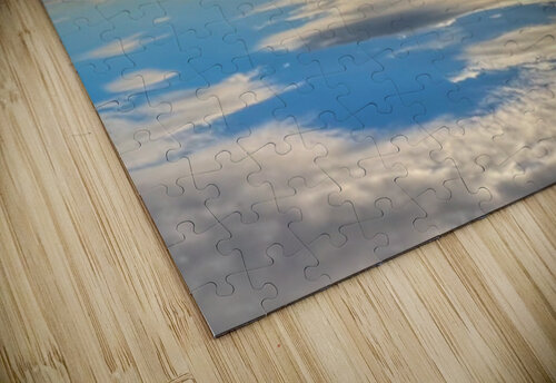 Reverse mirror reflection Genevieve Gagnon puzzle
