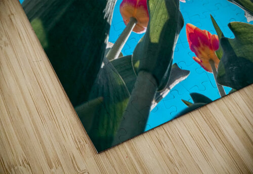 Flower time  Genevieve Gagnon puzzle