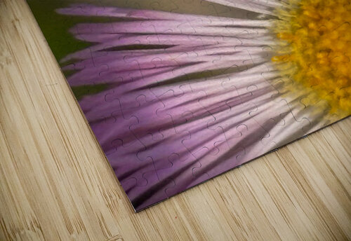 Flower 2 Genevieve Gagnon puzzle