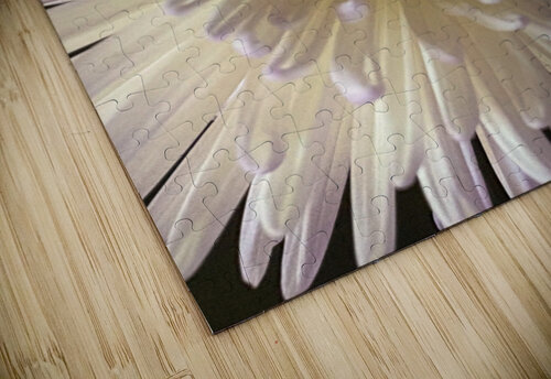 Flower 3 Genevieve Gagnon puzzle