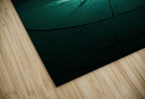 Light shows Genevieve Gagnon puzzle