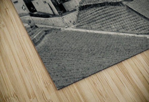 Terraced vineyard Genevieve Gagnon puzzle