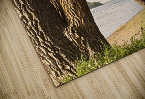 Opening on the River Genevieve Gagnon puzzle