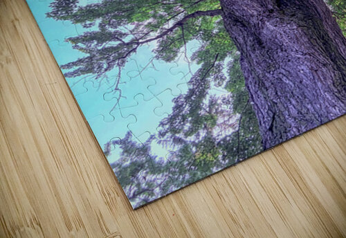 Tree Genevieve Gagnon puzzle