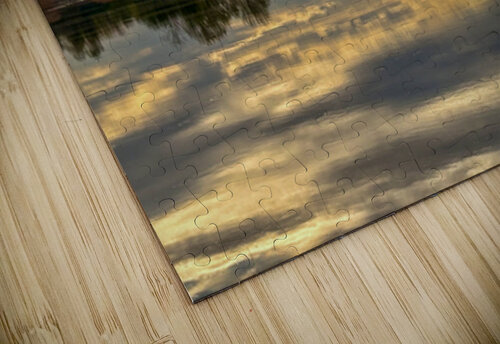 MIRROR REFLECTION Genevieve Gagnon puzzle