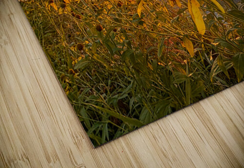 Autumn Shards Genevieve Gagnon puzzle