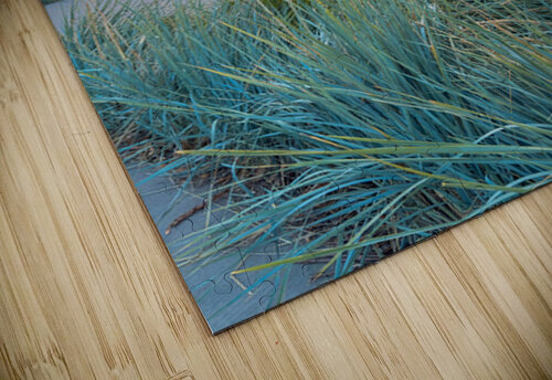 Grasses at dusk Genevieve Gagnon puzzle