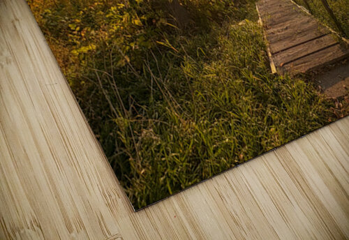 Go down to the platform Genevieve Gagnon puzzle