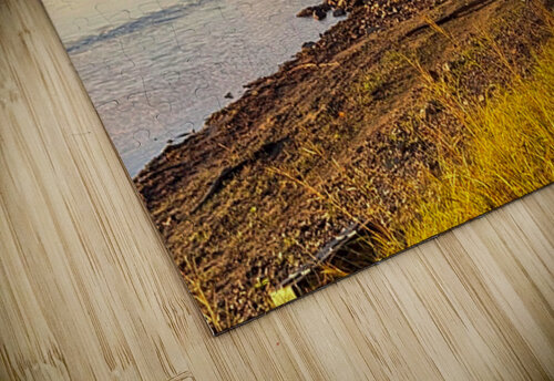 Mist wharf Genevieve Gagnon puzzle